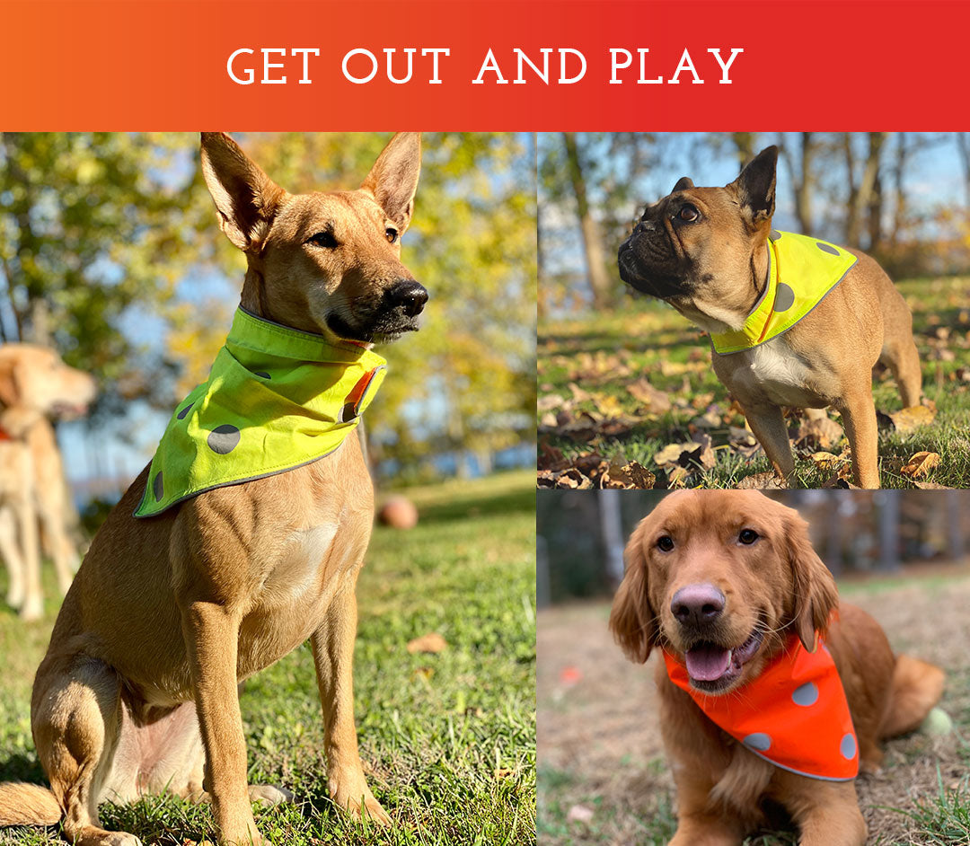 Spot the Dog Reflective Bandana Reversible Orange/Yellow Spot The Dog