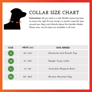 Spot the Dog Reflective Collar - Neon Blue