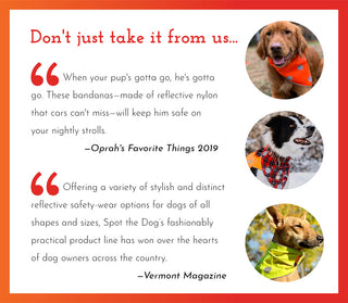 Spot the Dog Reflective Collar - Reversible Orange/Red Plaid