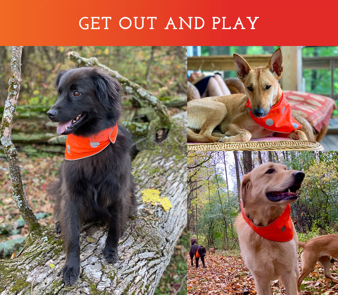 Reflective dog bandana cheap
