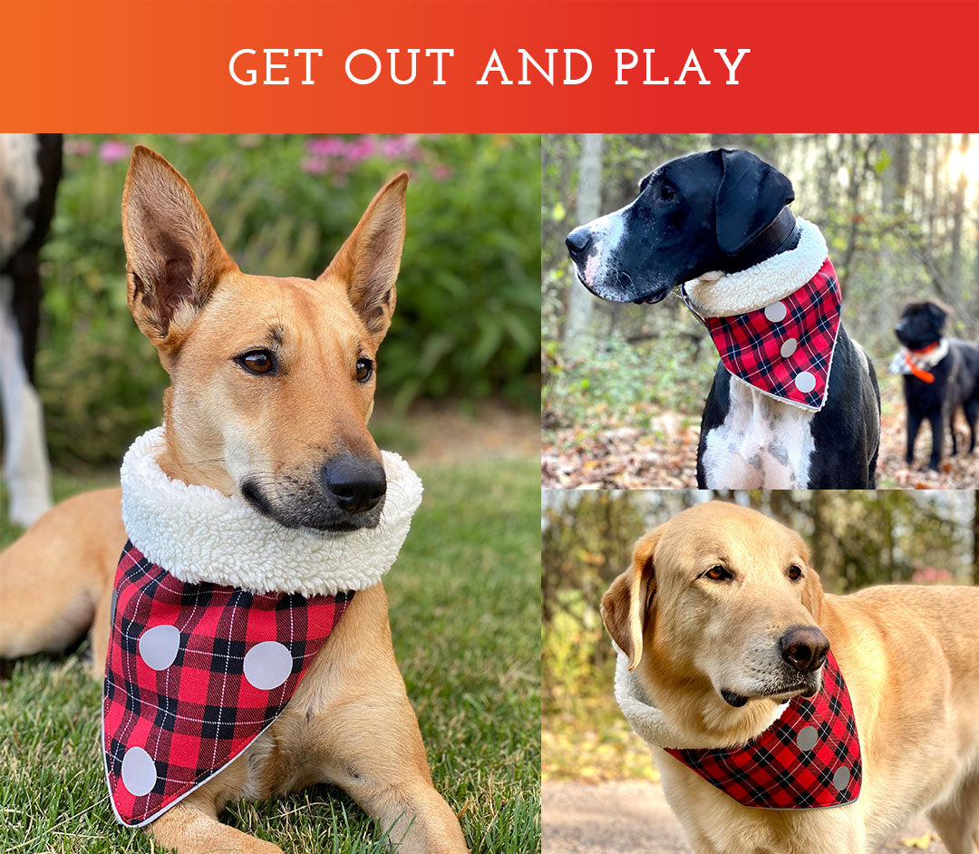 Green Buffalo Check Dog Bandana by That Dog Shop