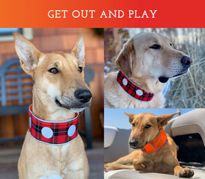 Spot the Dog Reflective Collar - Reversible Orange/Red Plaid