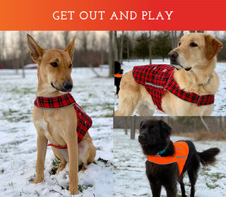 Spot the Dog Reflective Vest - Reversible Orange/Red Plaid